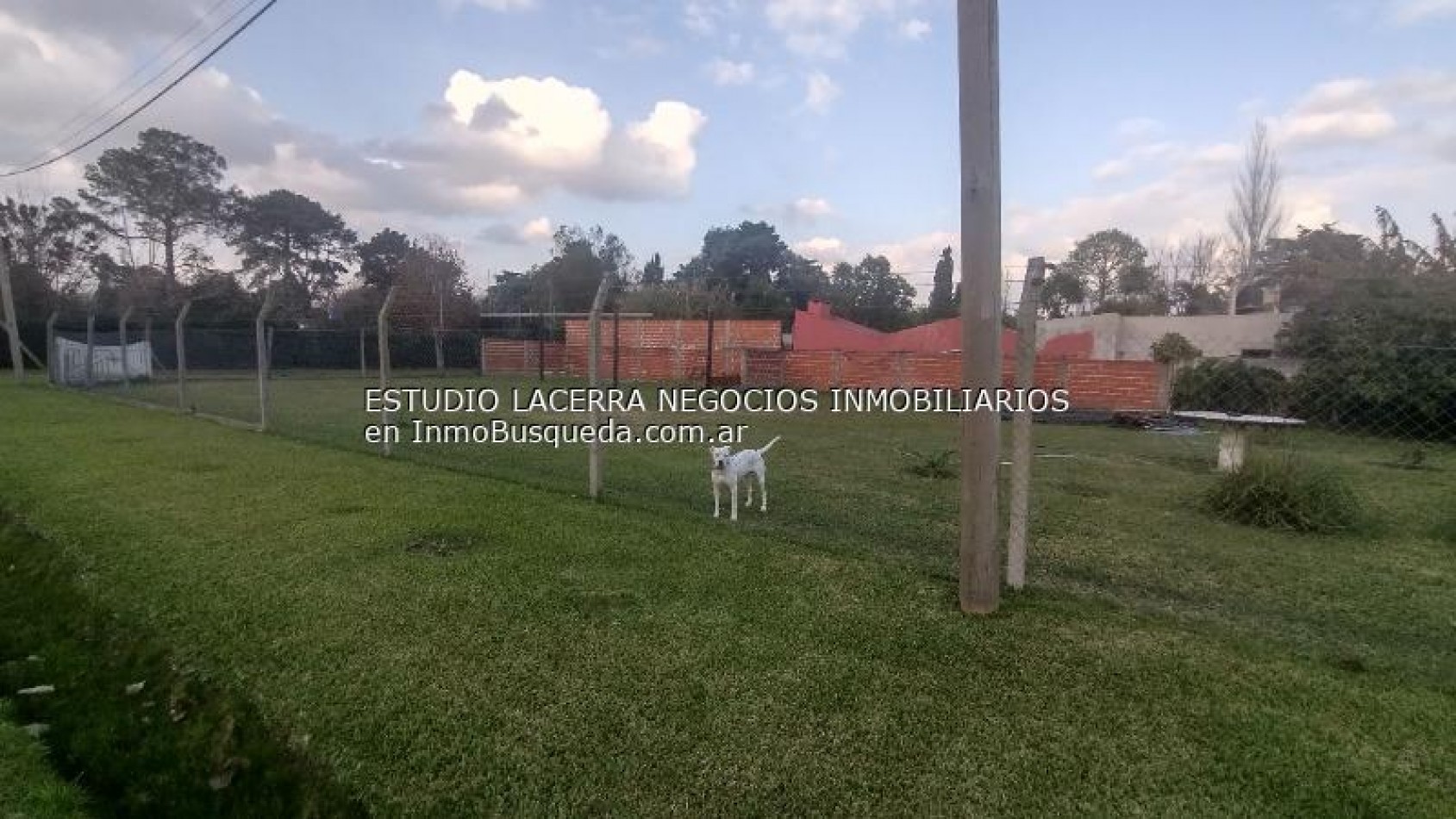 Terreno 