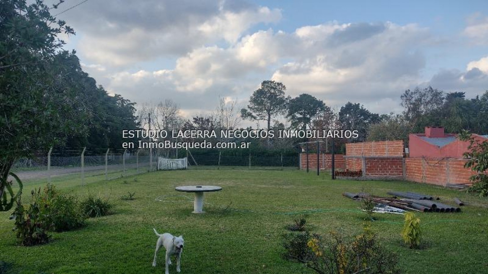Terreno 
