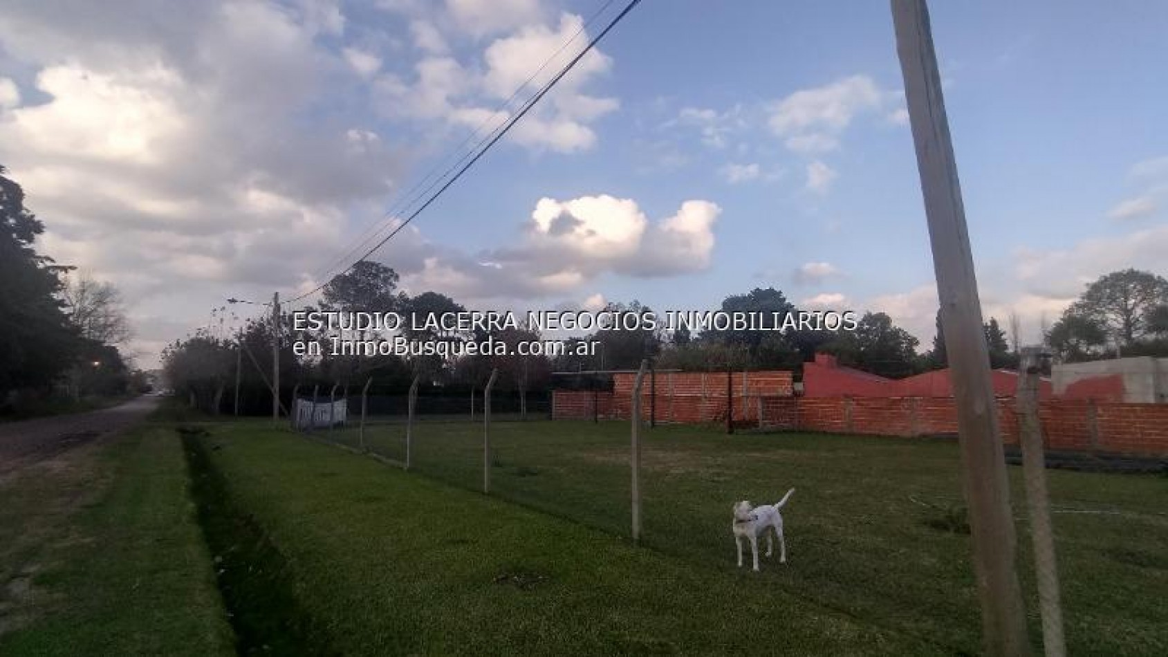 Terreno 