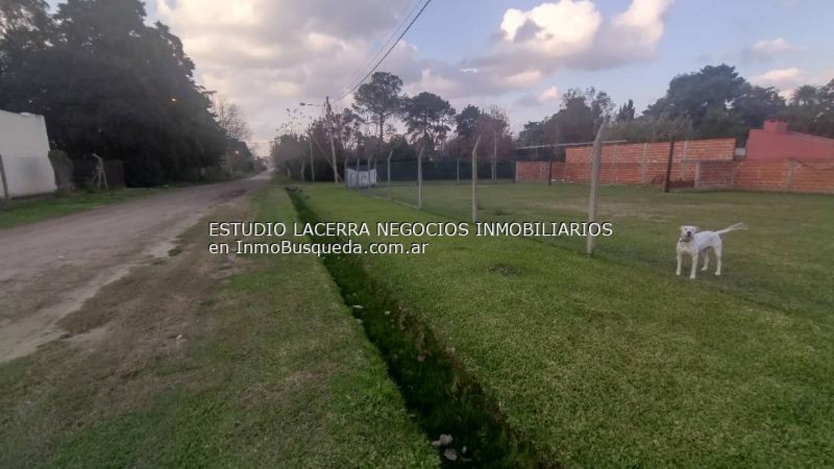 Terreno 