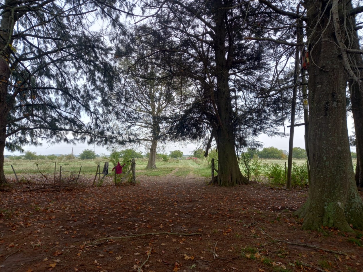 CAMPO EN VENTA ATALAYA - PARTIDO DE MAGDALENA 