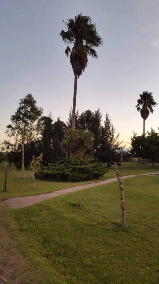 CAMPO EN VENTA ATALAYA - PARTIDO DE MAGDALENA 
