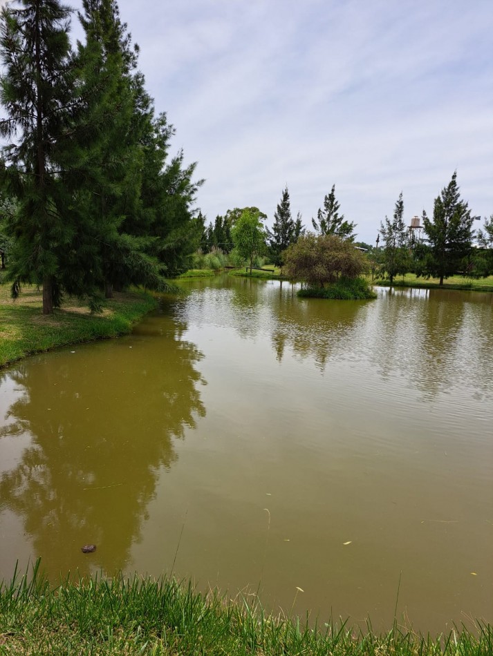CAMPO EN VENTA ATALAYA - PARTIDO DE MAGDALENA 