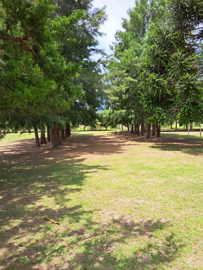 CAMPO EN VENTA ATALAYA - PARTIDO DE MAGDALENA 