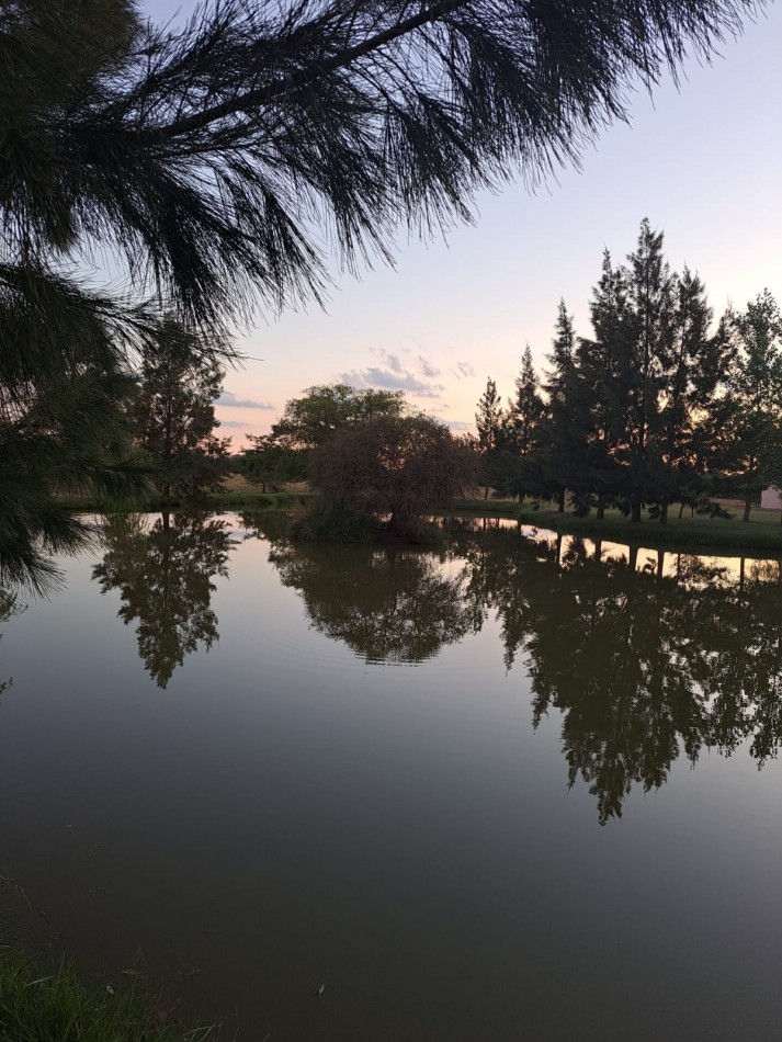 CAMPO EN VENTA ATALAYA - PARTIDO DE MAGDALENA 