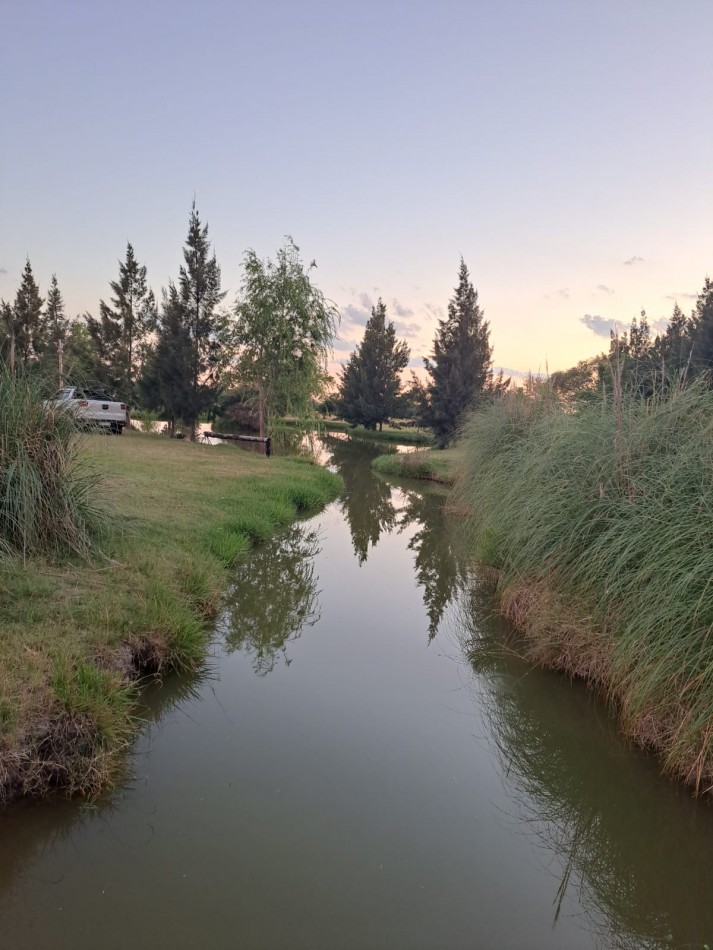 CAMPO EN VENTA ATALAYA - PARTIDO DE MAGDALENA 
