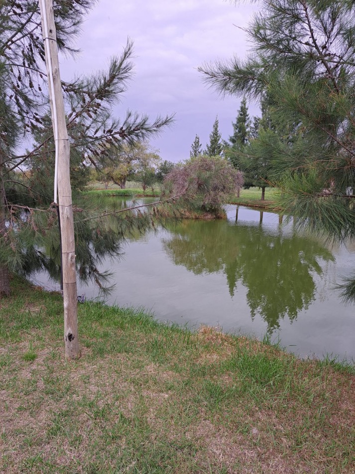 CAMPO EN VENTA ATALAYA - PARTIDO DE MAGDALENA 