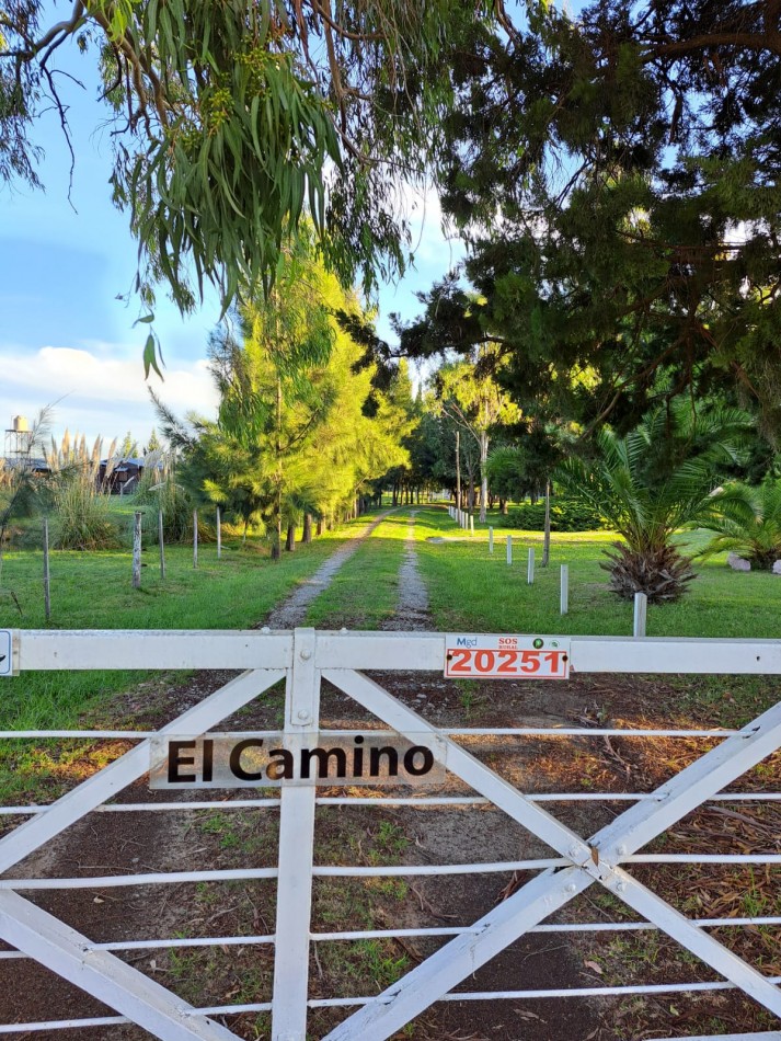CAMPO EN VENTA ATALAYA - PARTIDO DE MAGDALENA 