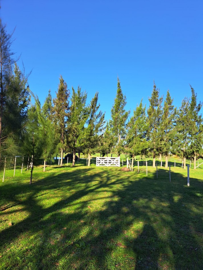 CAMPO EN VENTA ATALAYA - PARTIDO DE MAGDALENA 