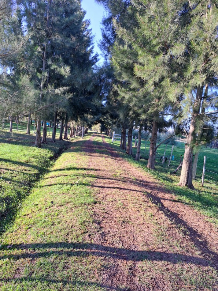 CAMPO EN VENTA ATALAYA - PARTIDO DE MAGDALENA 