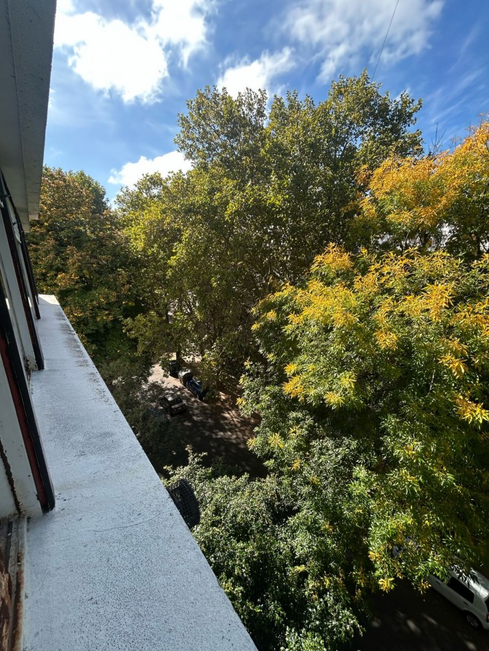 54  e/ 2 y 3 -  DEPARTAMENTO EN ALQUILER 3 DORMITORIOS 