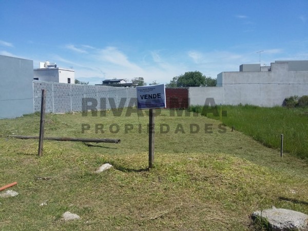  31 Y 500 - LOTE BALDIO - EN GONNET - ZONA EN CRECIMIENTO