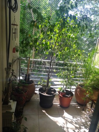 EXCELENTE DEPARTAMENTO DE 1 DORMITORIO - BANO - COCINA COMEDOR - BALCON  - 44M2